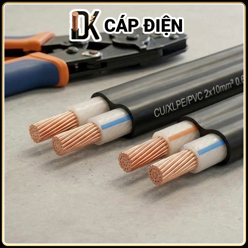 Cáp CXV 2x10
