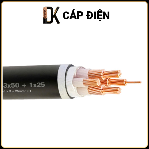 Cáp CXV 3*50+1*25